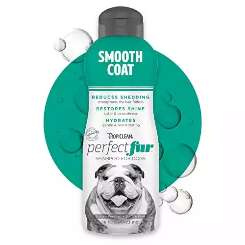 Champú TropiClean PerfectFur Smooth Coat Para Perros