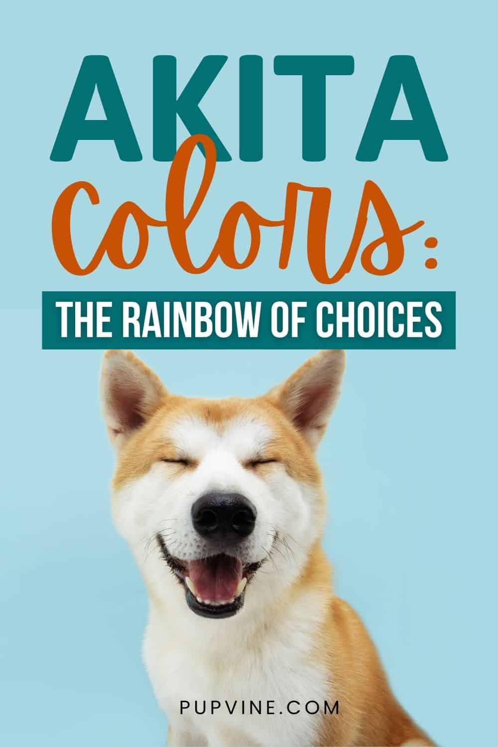Colores de Akita: El Arcoíris de Opciones