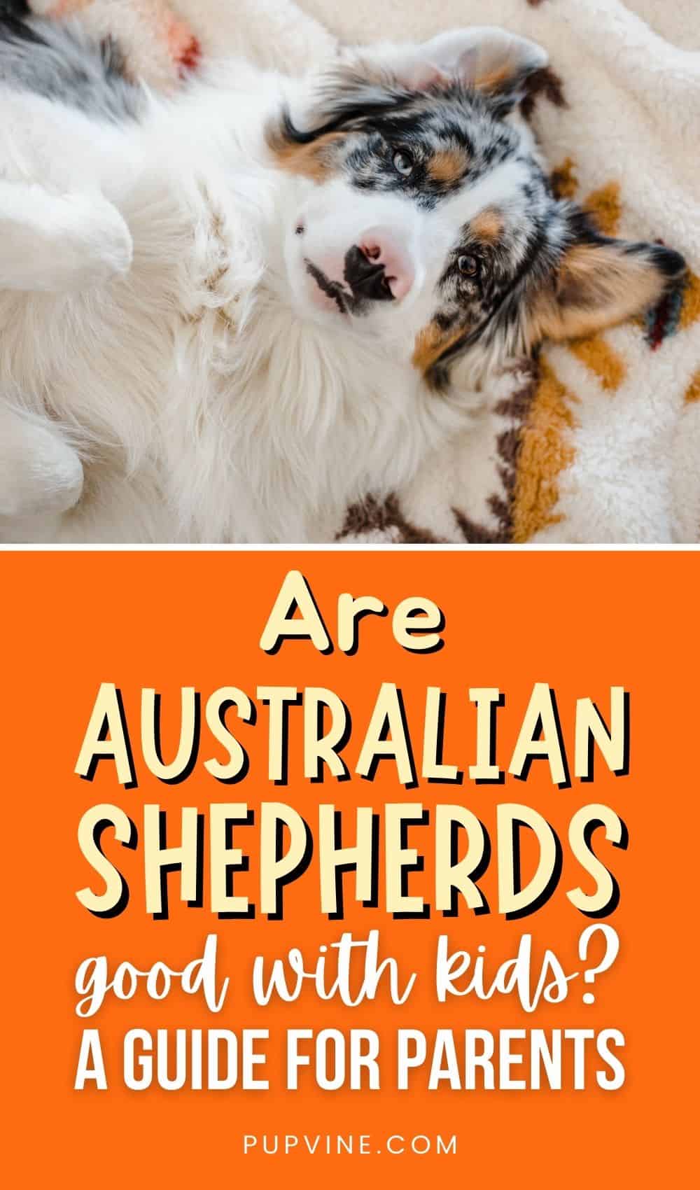 ¿Son Buenos los Pastores Australianos Con los Niños? Una Guía para Padres
