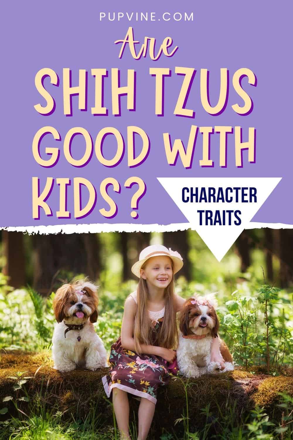 ¿Son los Shih Tzus Buenos con los Niños? Rasgos del Carácter de Shih Tzu