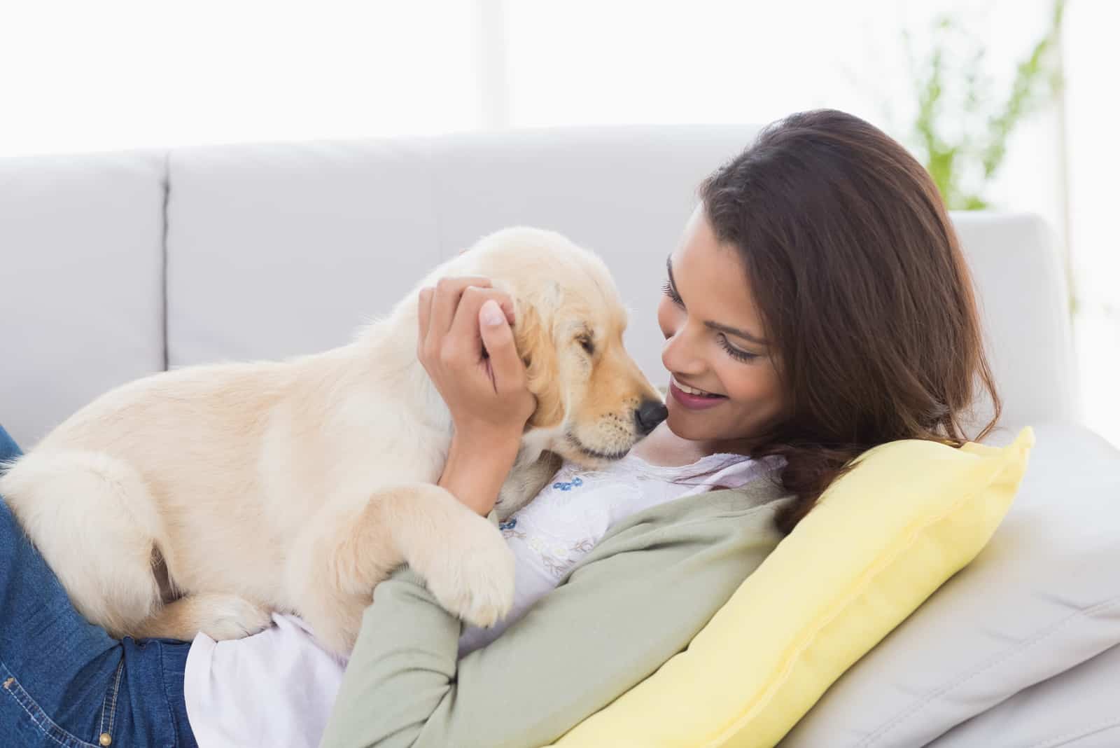 Hermosa mujer jugando con cachorro mientras está tumbada en el sofá en casa