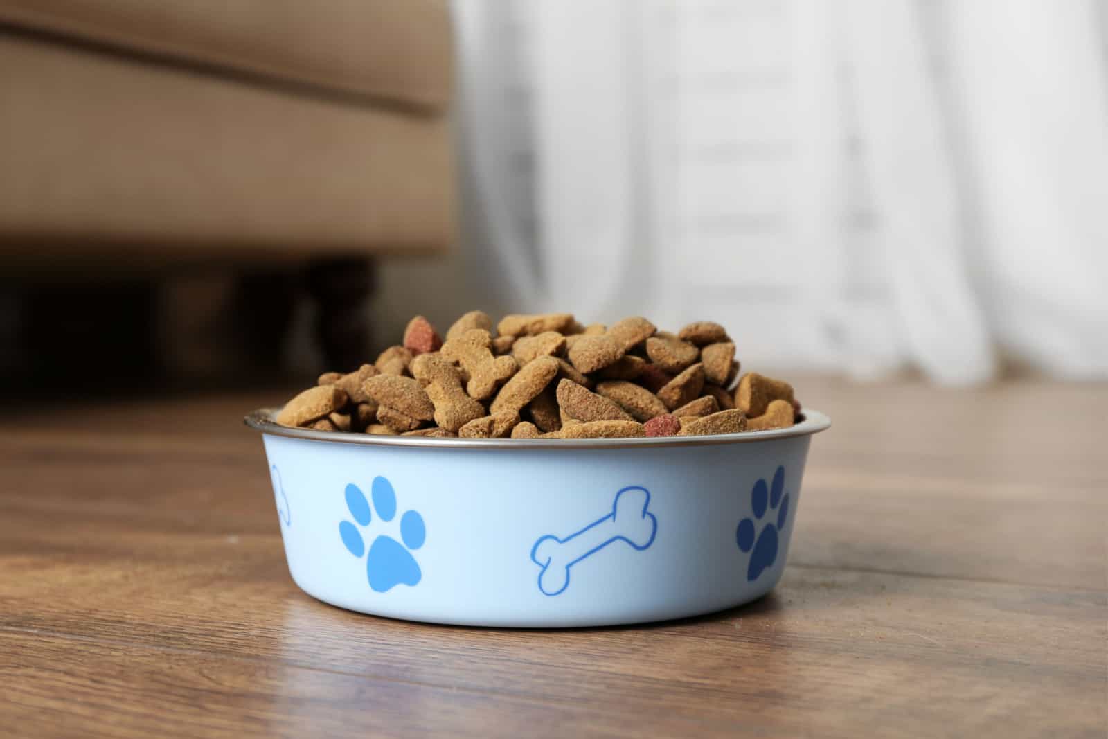Comida de perro en un tazón en el suelo en casa
