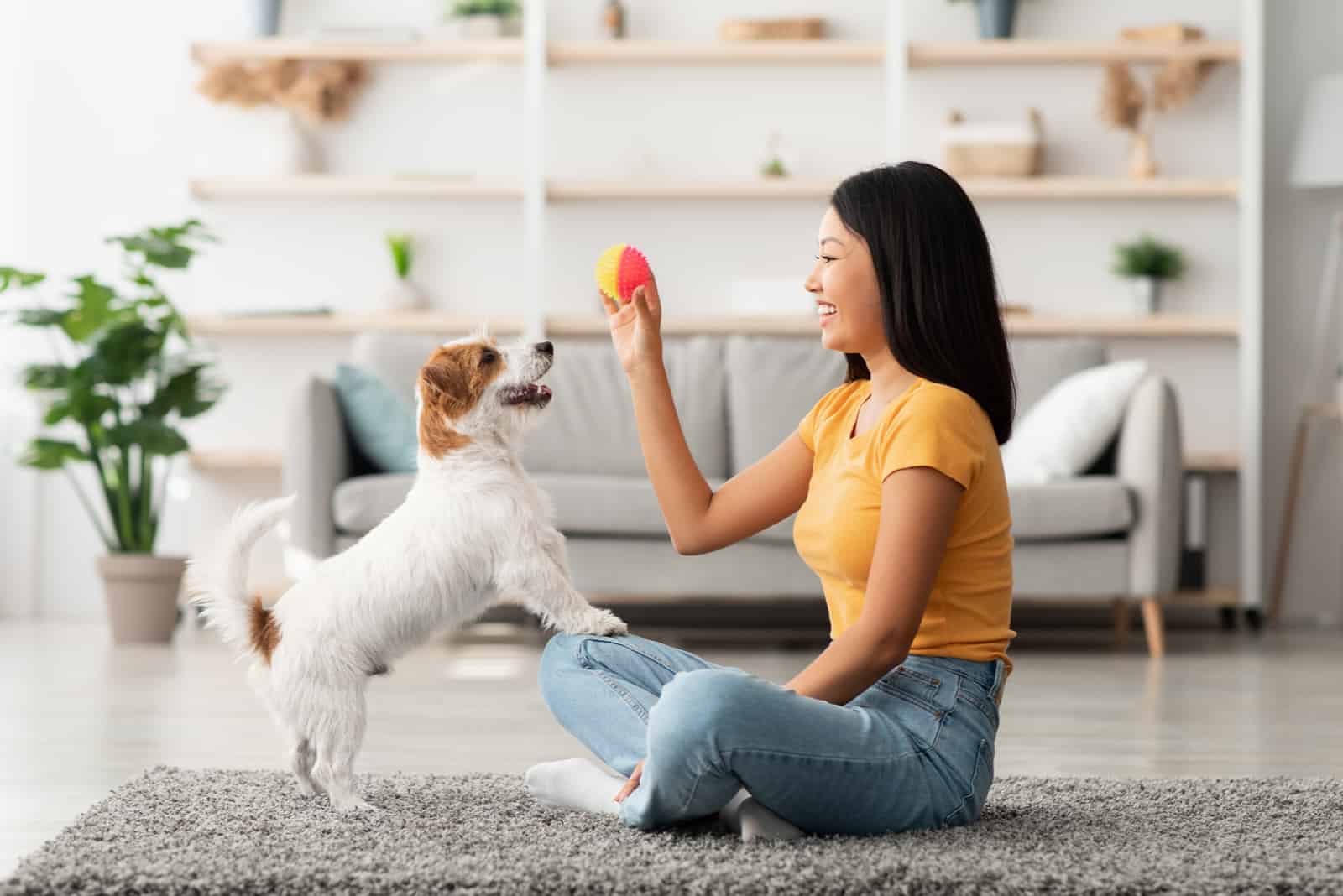 Propietaria jugando con un perro alegre en casa