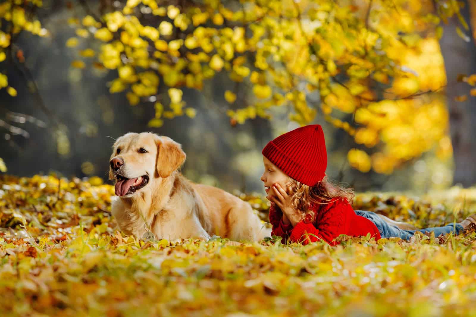 Relación amigable entre niño y perro