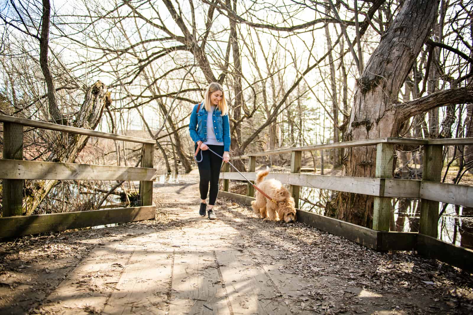 GoldenDoodle y mujer fuera en el parque