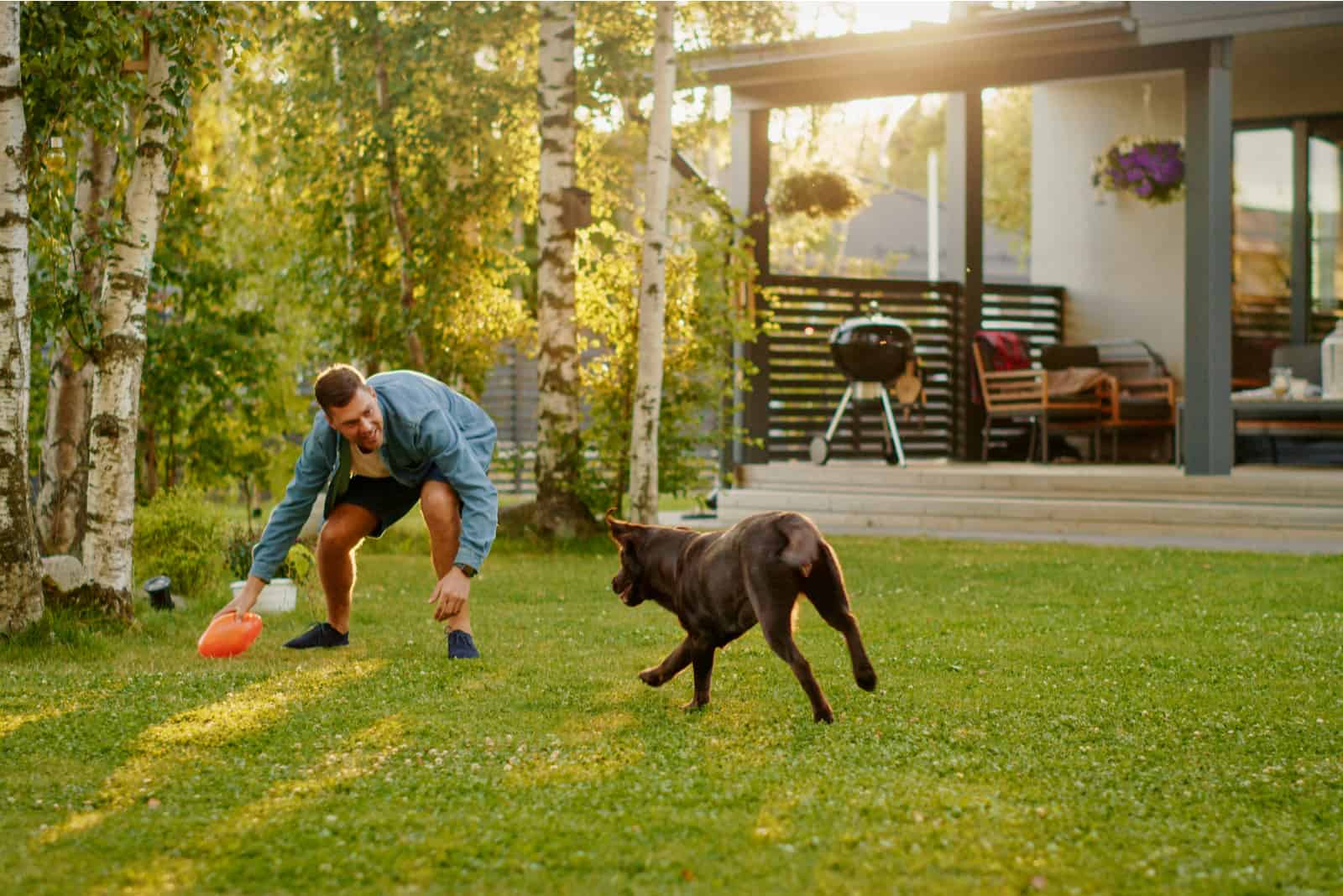 Hombre guapo jugando a atrapar con un Labrador Retriever marrón feliz