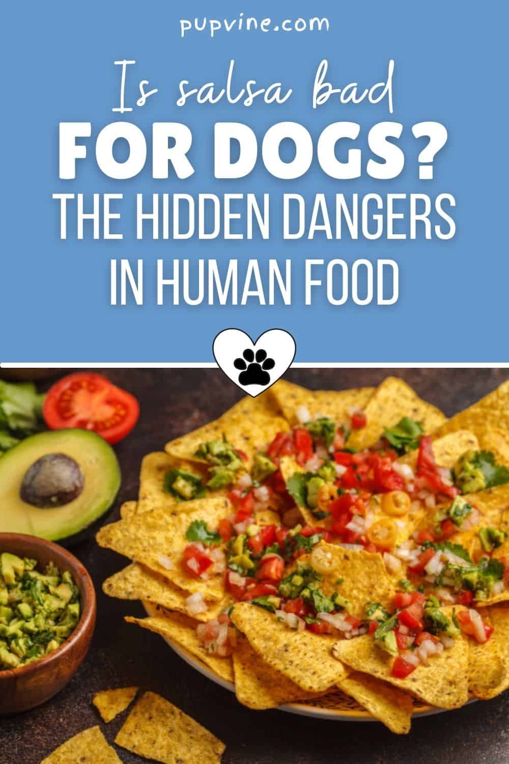 ¿Es mala la salsa para los perros? Los peligros ocultos en la comida humana