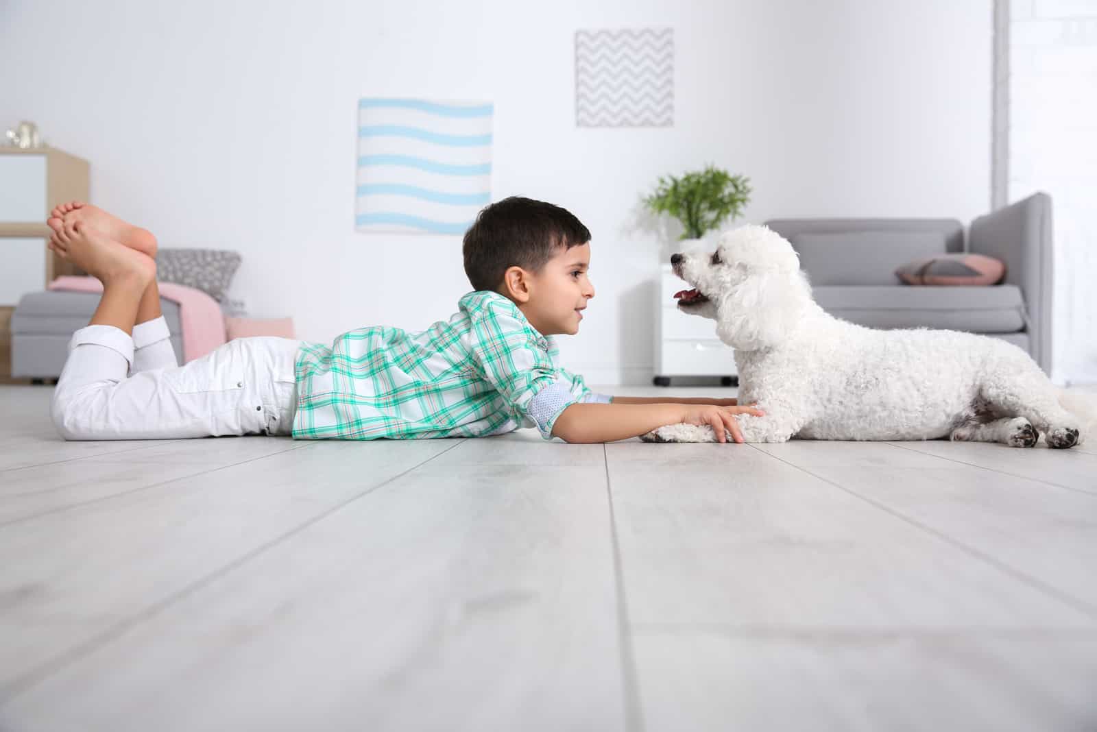 Niño pequeño y perro Bichon Frise acostados en el suelo en casa
