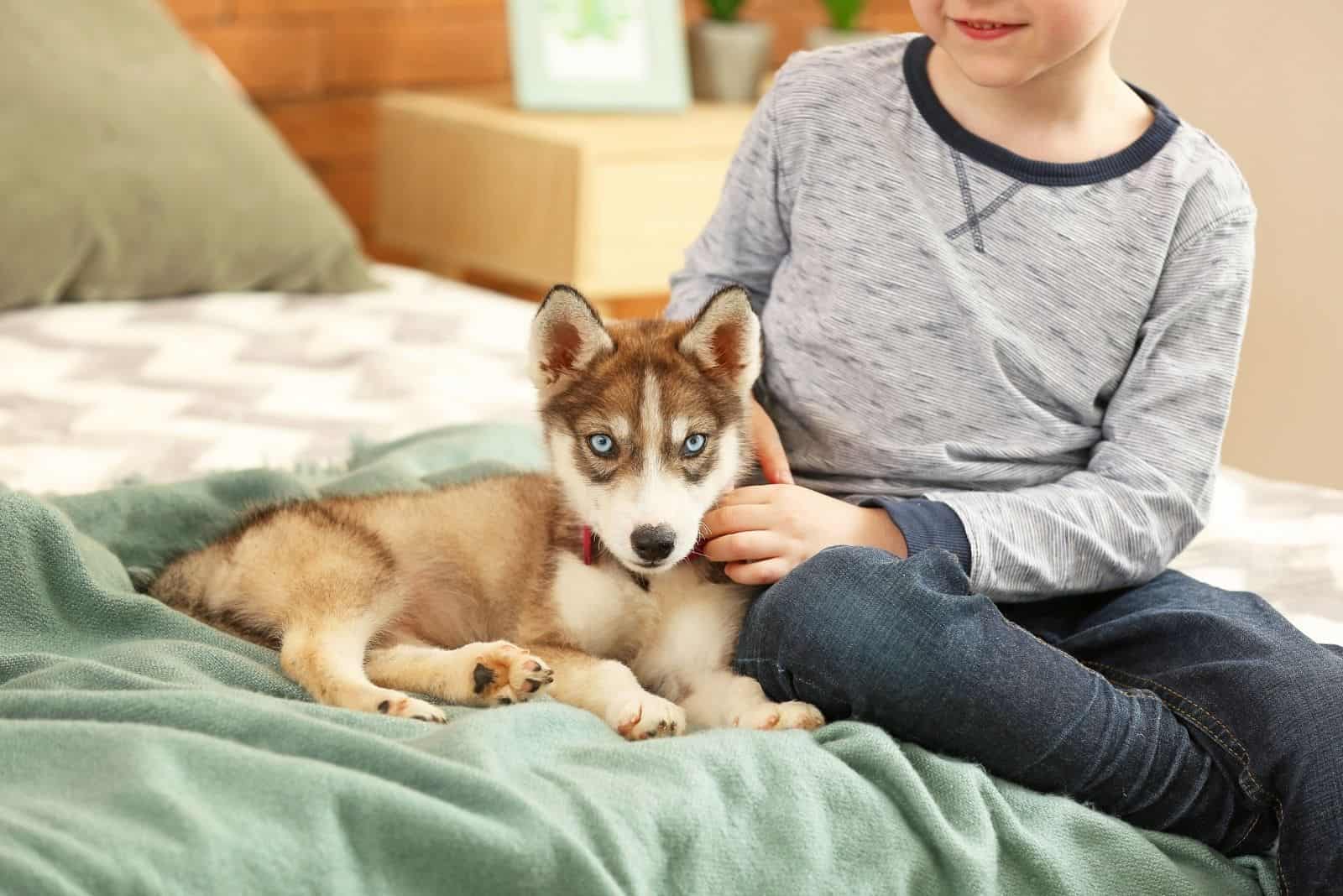 niño lindo con su cachorro husky siberiano