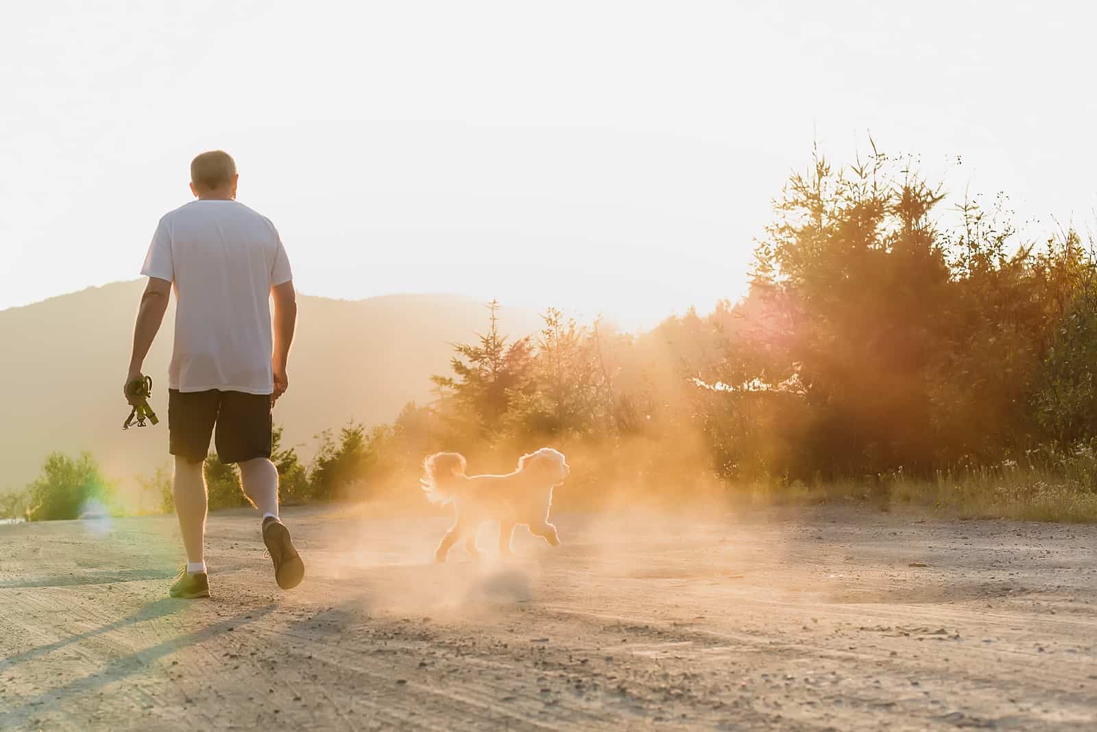 Hombre y perro caminando hacia un atardecer polvoriento