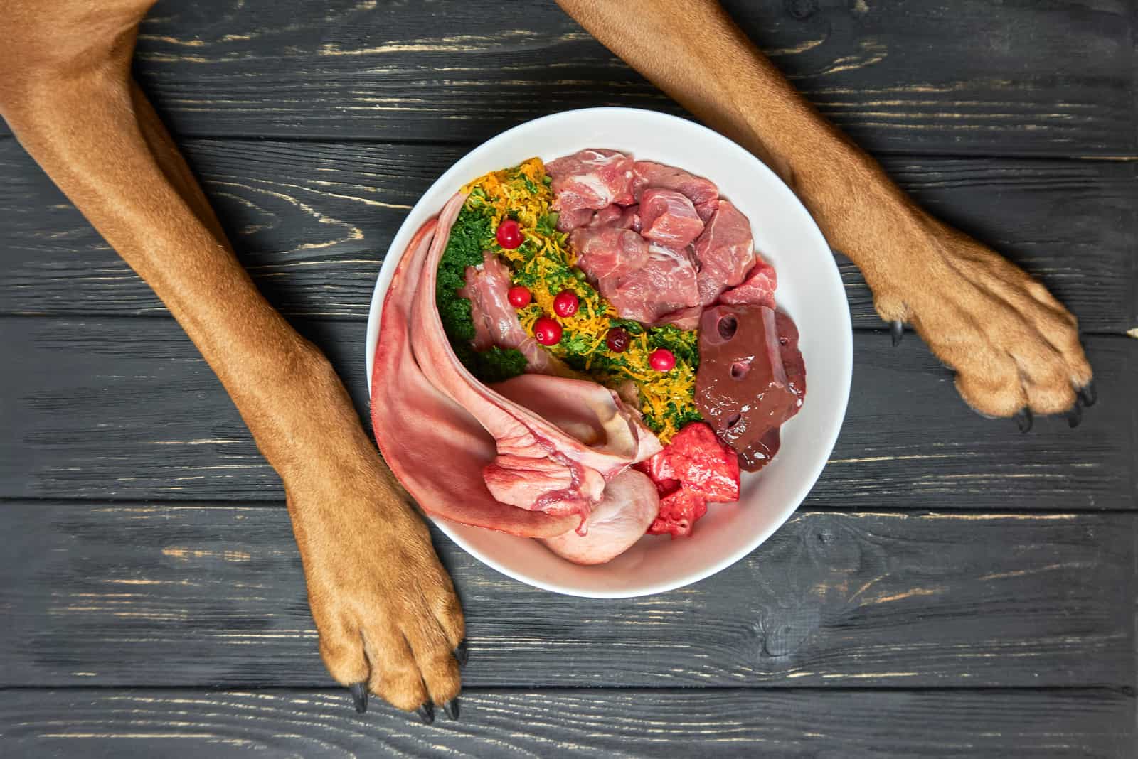 Comida para perros natural, cruda y orgánica en tazón sobre piso de madera negra y patas de perro