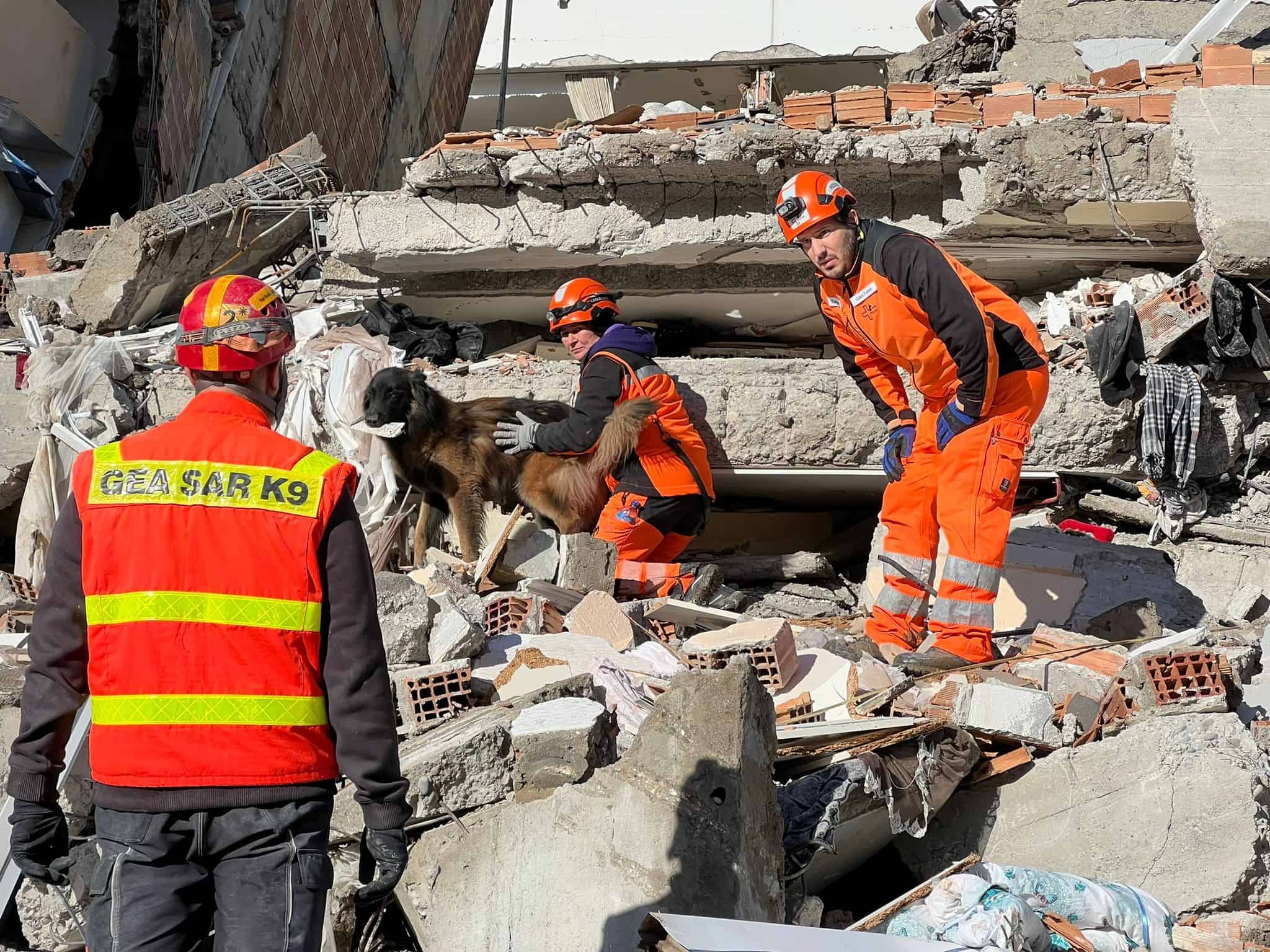 Equipo de Rescate de Perros REDOG