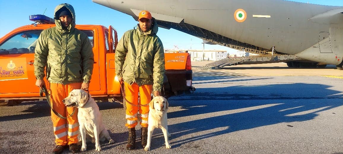 Los Labradores de India