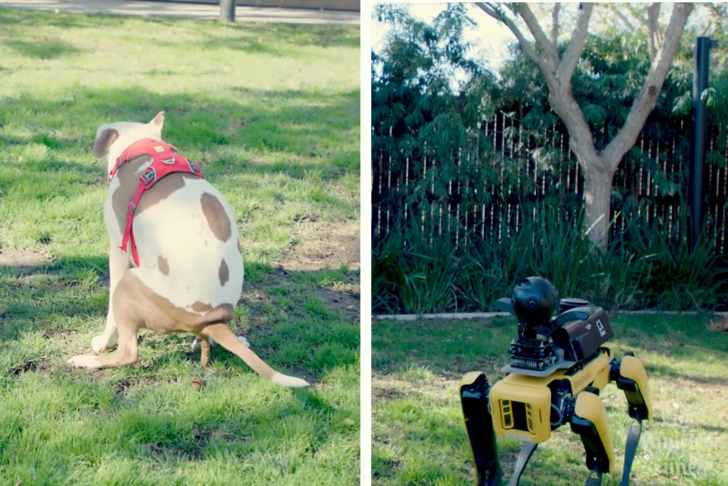 El Competencia de Poop