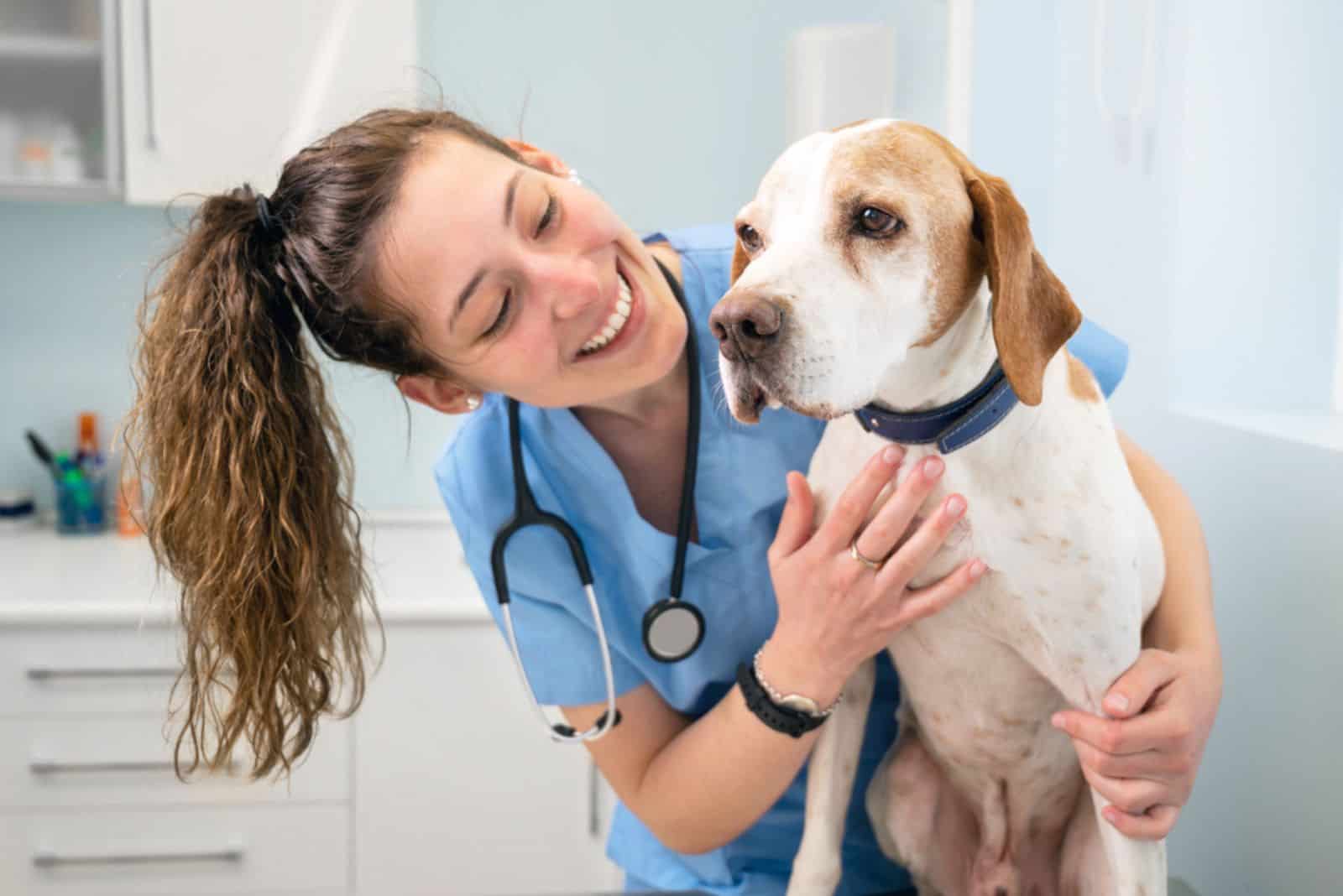 Veterinario joven feliz sonriendo mientras juega con un perro.