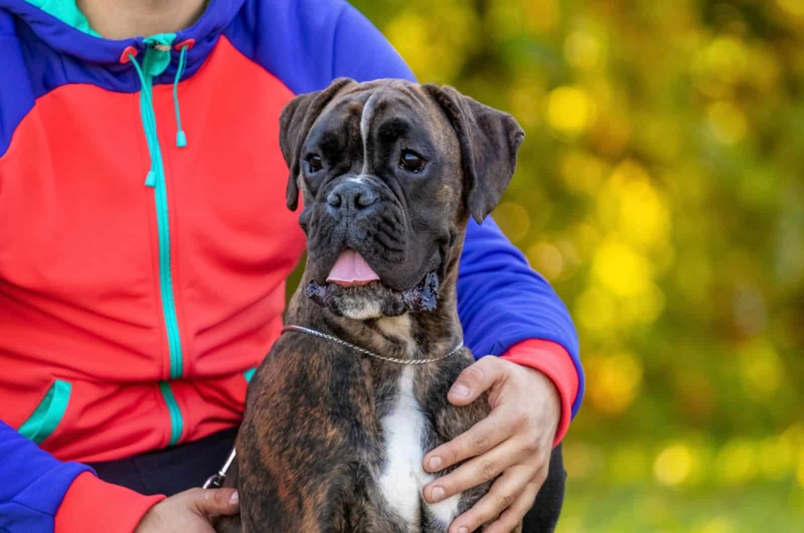 un hombre abrazando a su perro boxer en el parque