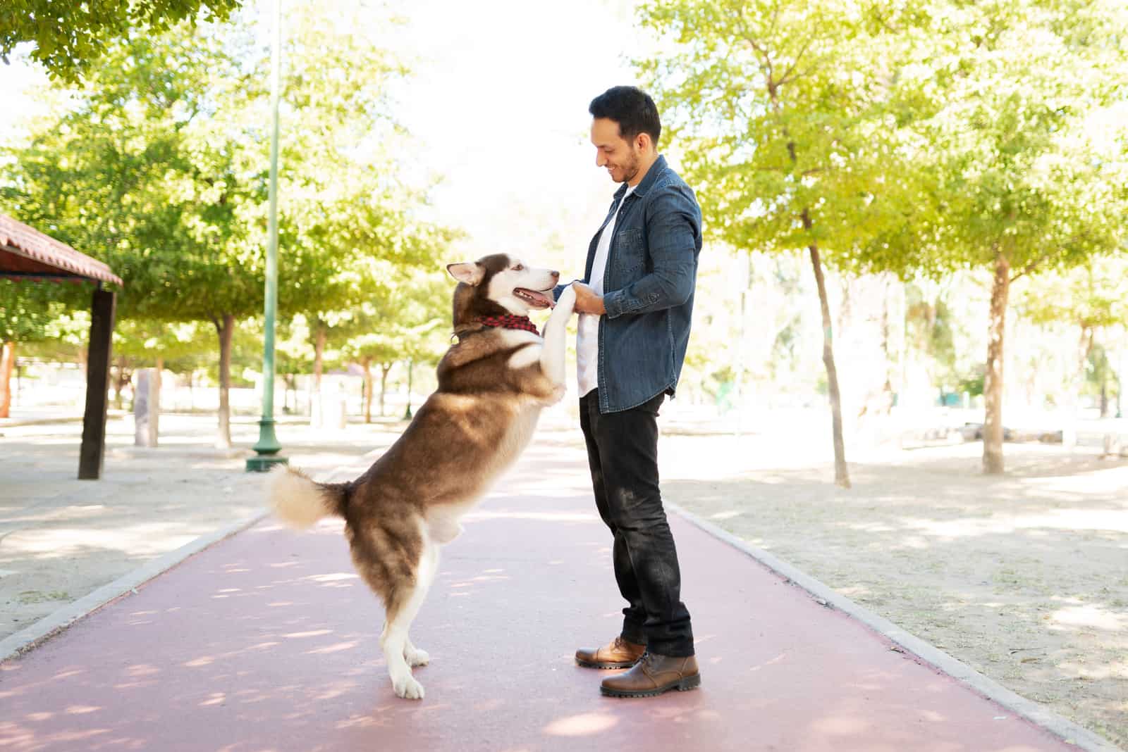 un hombre se divierte con un hermoso husky en el parque