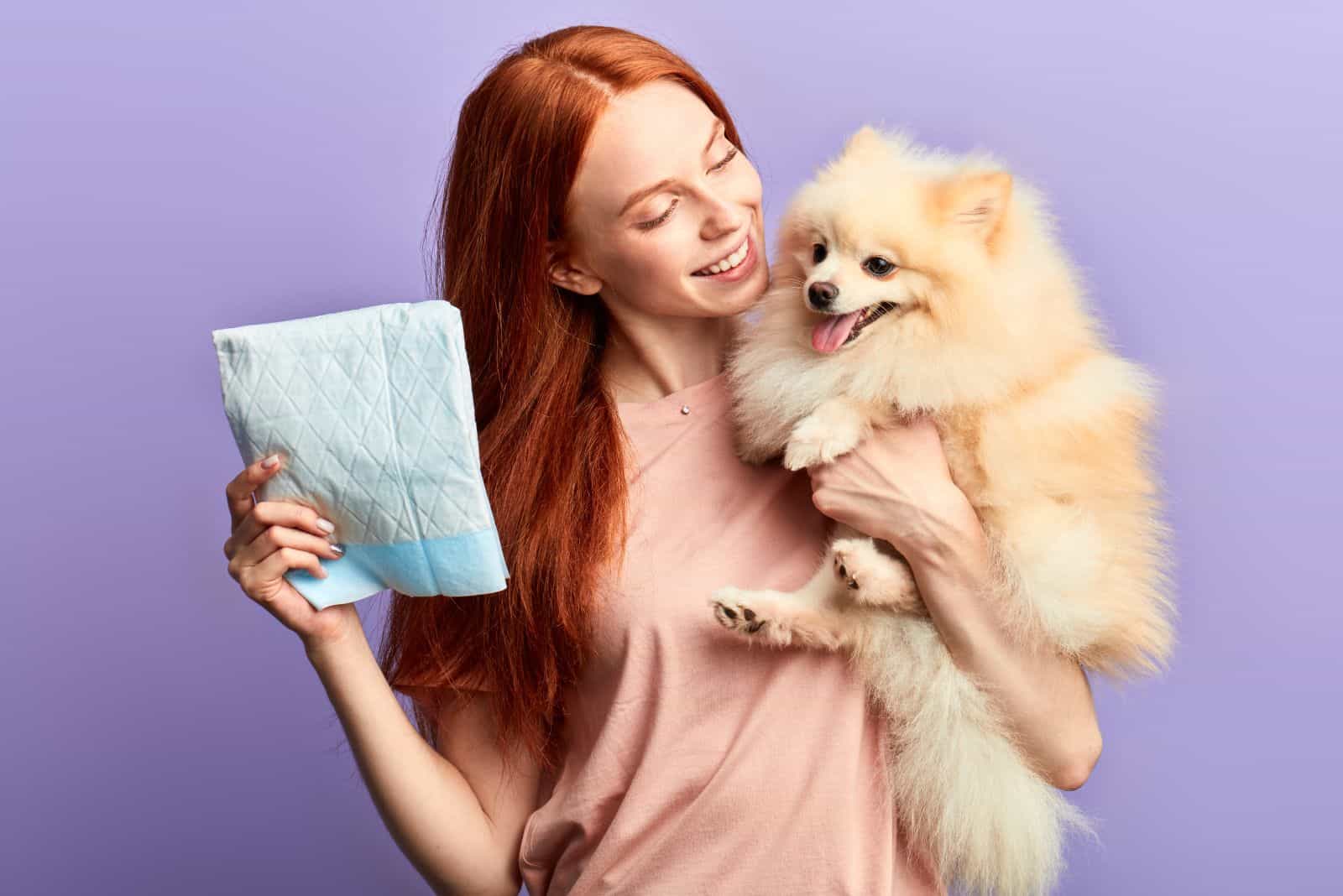 un pomerania en los brazos de una mujer con pañales
