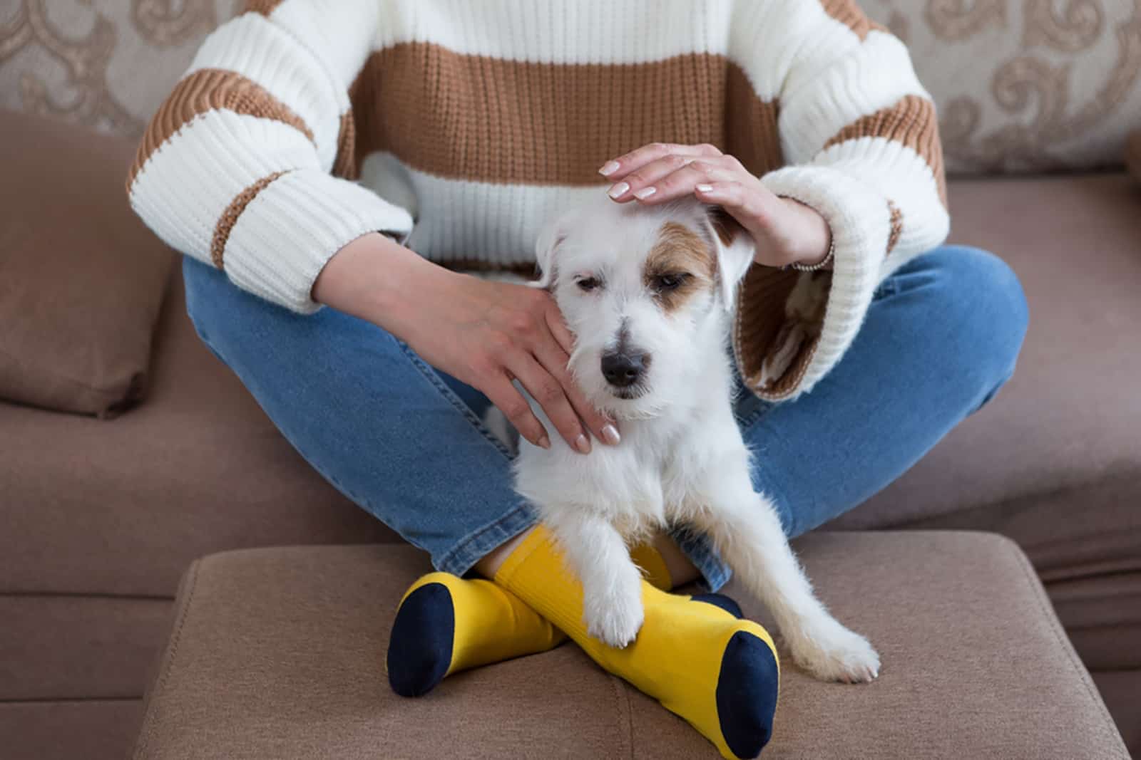 una mujer acariciando suavemente a su perro en la sala de estar