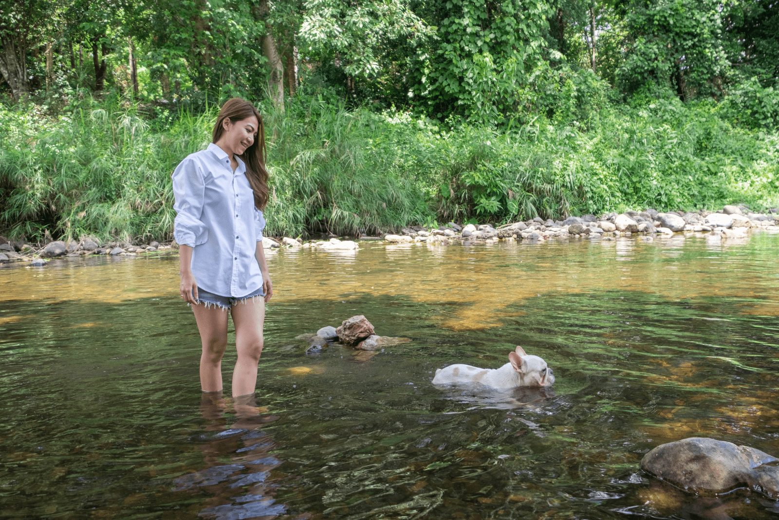 una mujer está en el agua mientras un bulldog francés nada