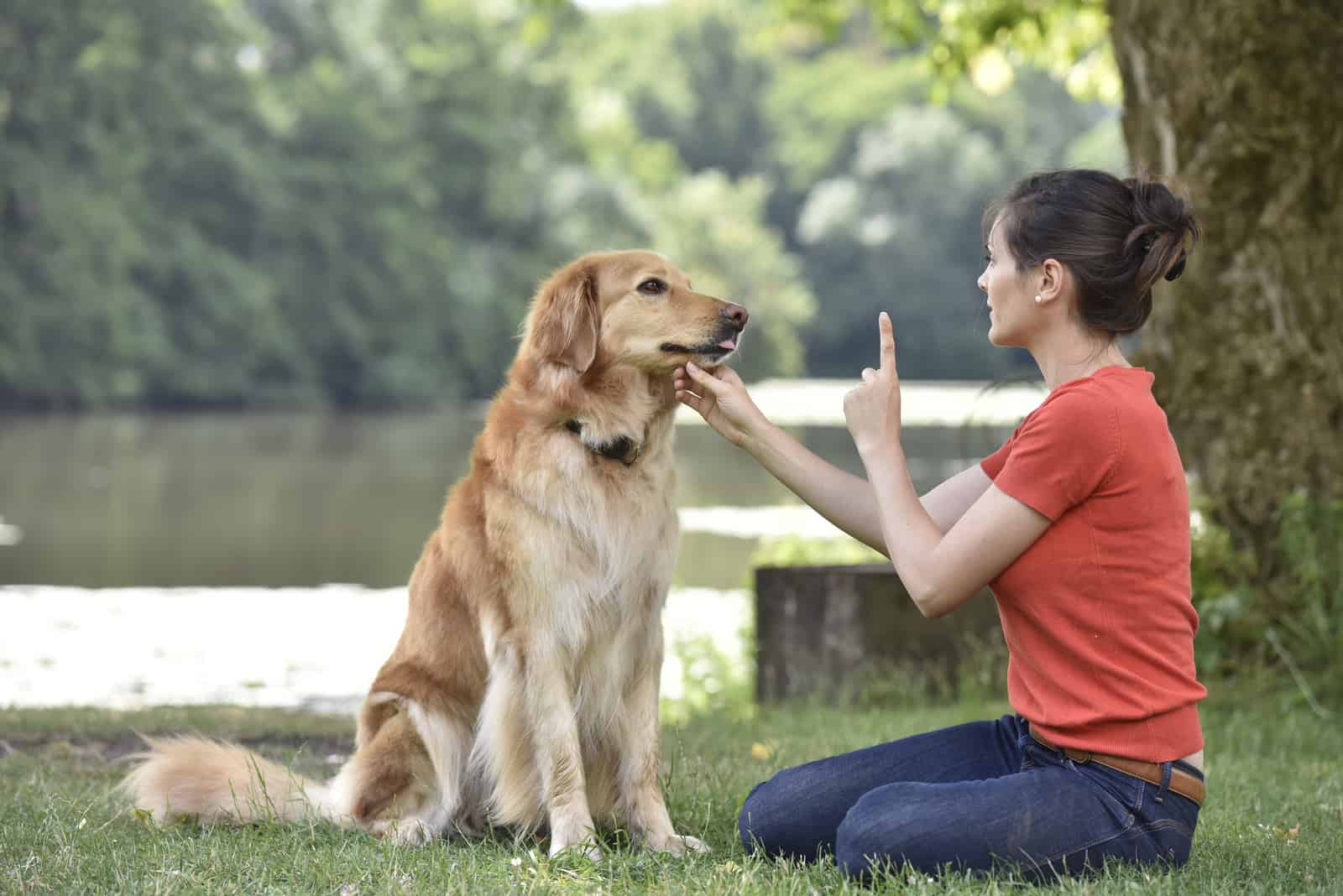 una mujer entrena a un perro en el parque