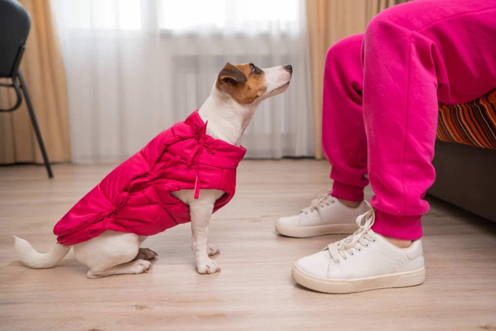 una mujer entrena a un perro para que se siente
