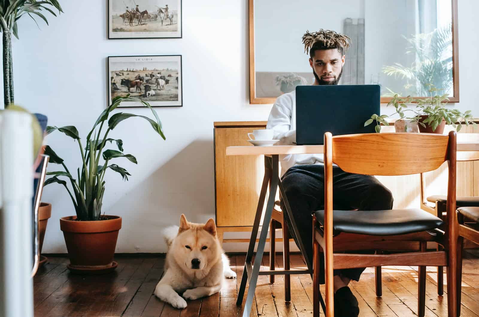akita inu junto a su dueño en un apartamento