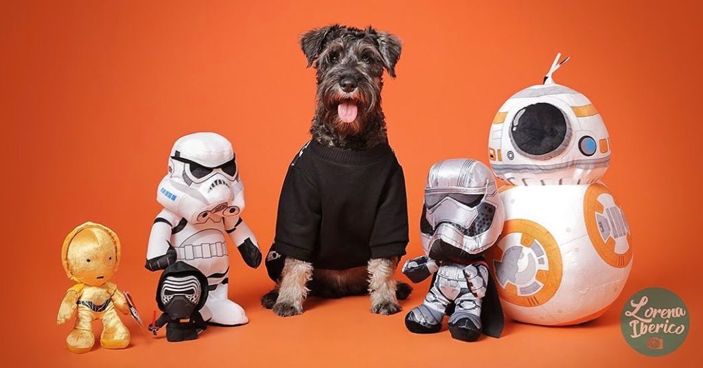perro negro con juguetes de star wars y un fondo naranja