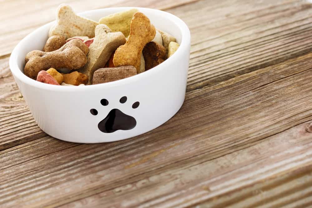 tazón con comida para perros sobre mesa de madera
