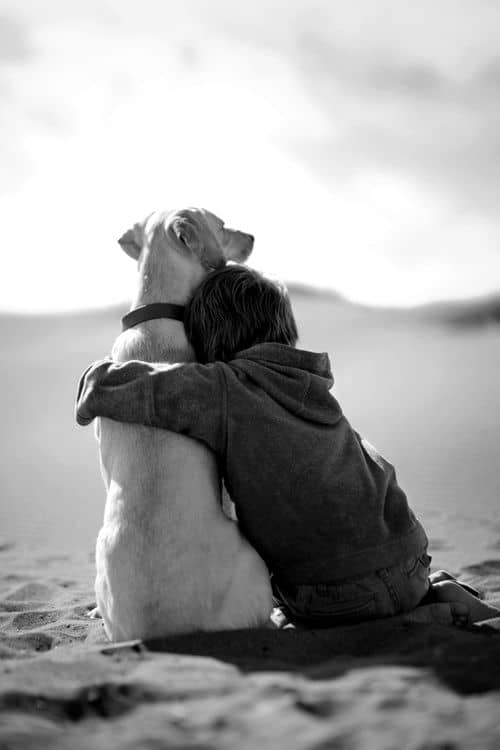 niño abrazando a su perro en la playa
