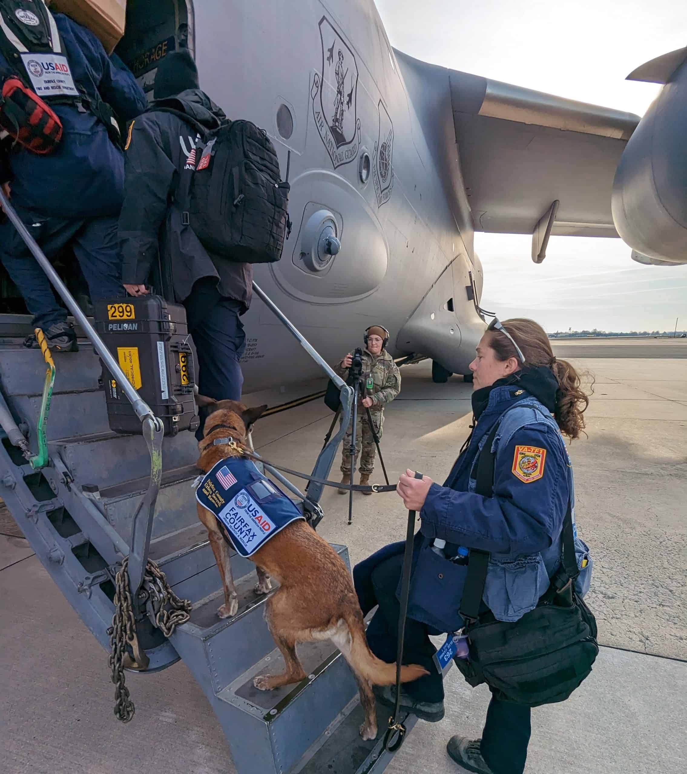 valientes perros de búsqueda y rescate de EE.UU.