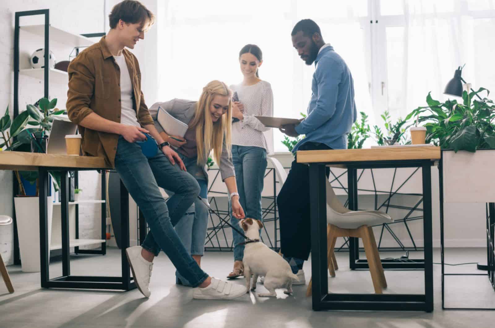 colegas de trabajo con perro en la oficina