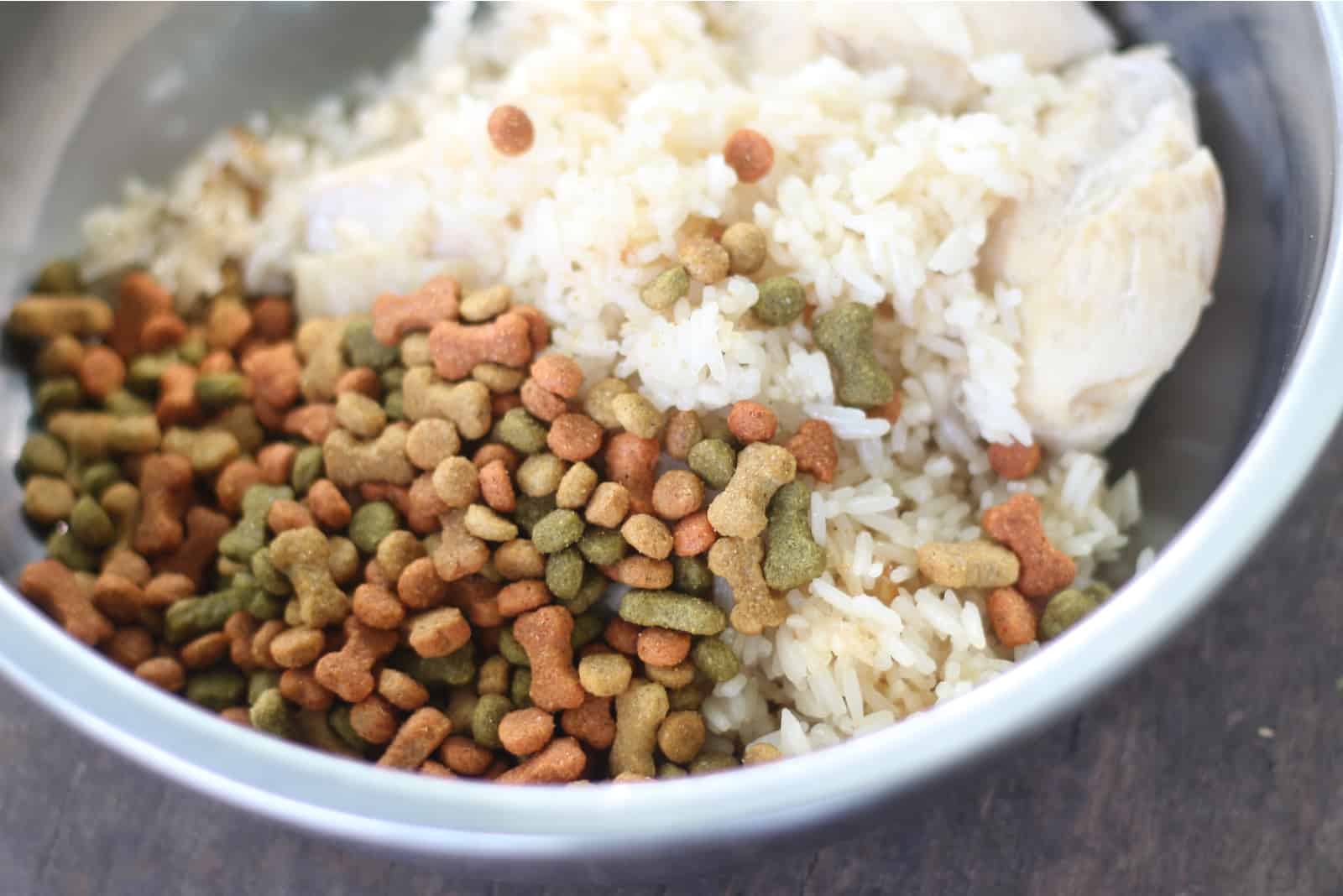 pollo, arroz y comida para perros