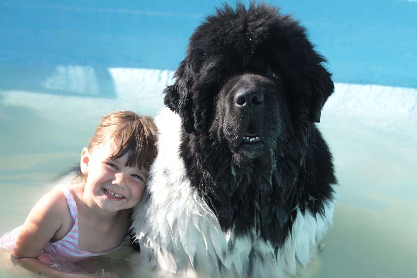 niño con gran perro terranova en la piscina