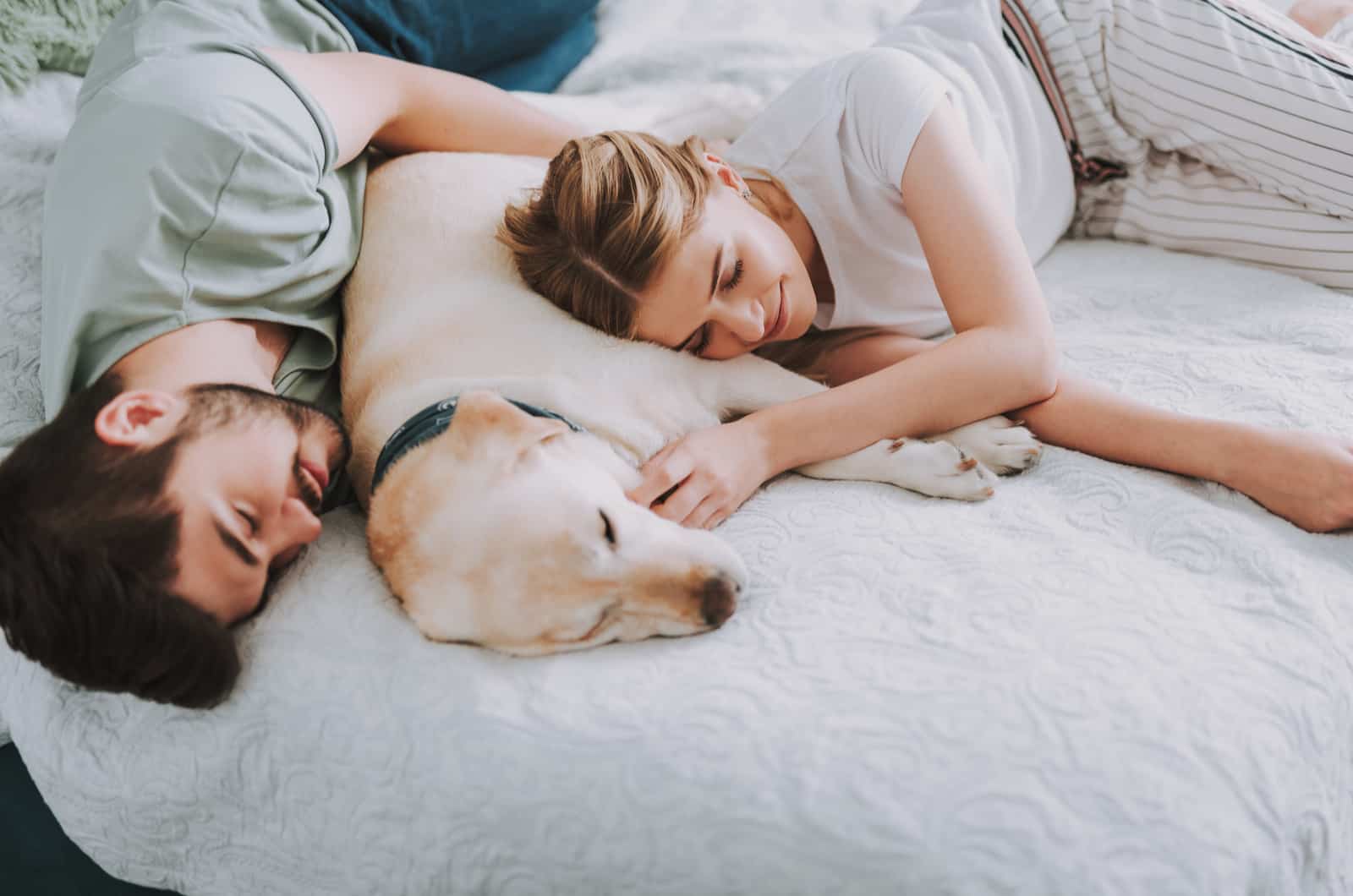 pareja acostada en la cama con su perro