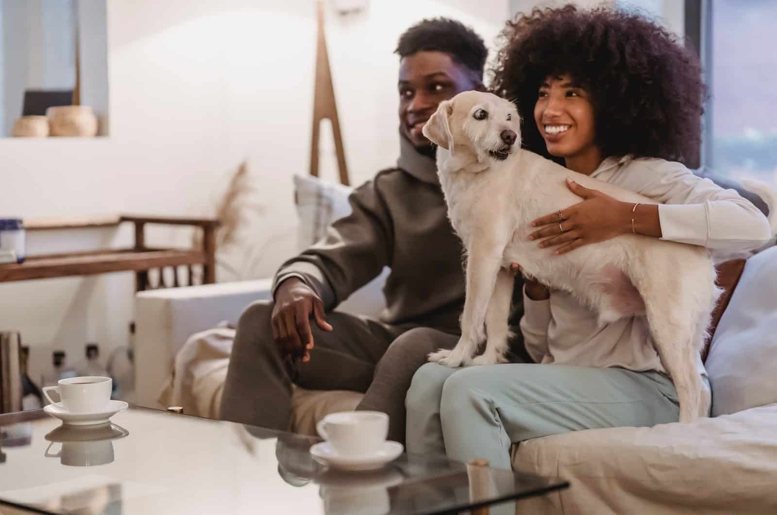 pareja con el perro en el regazo
