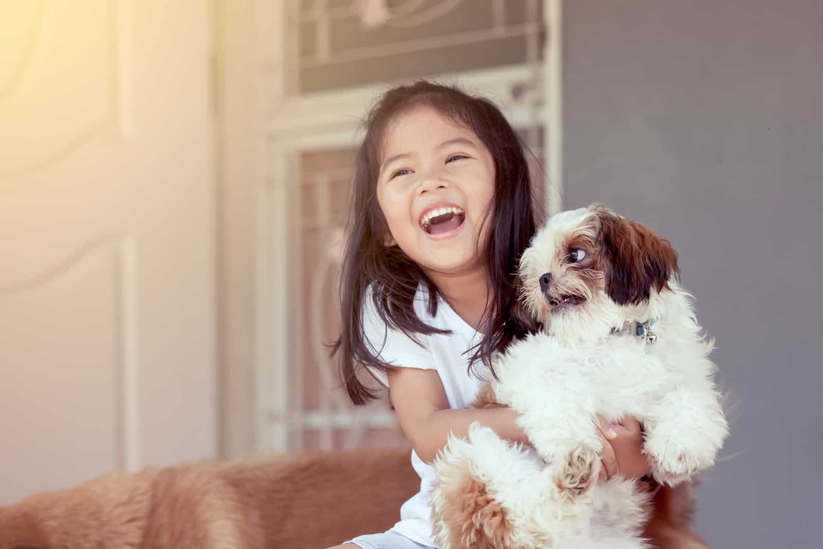 niña linda con su shih tzu mascota