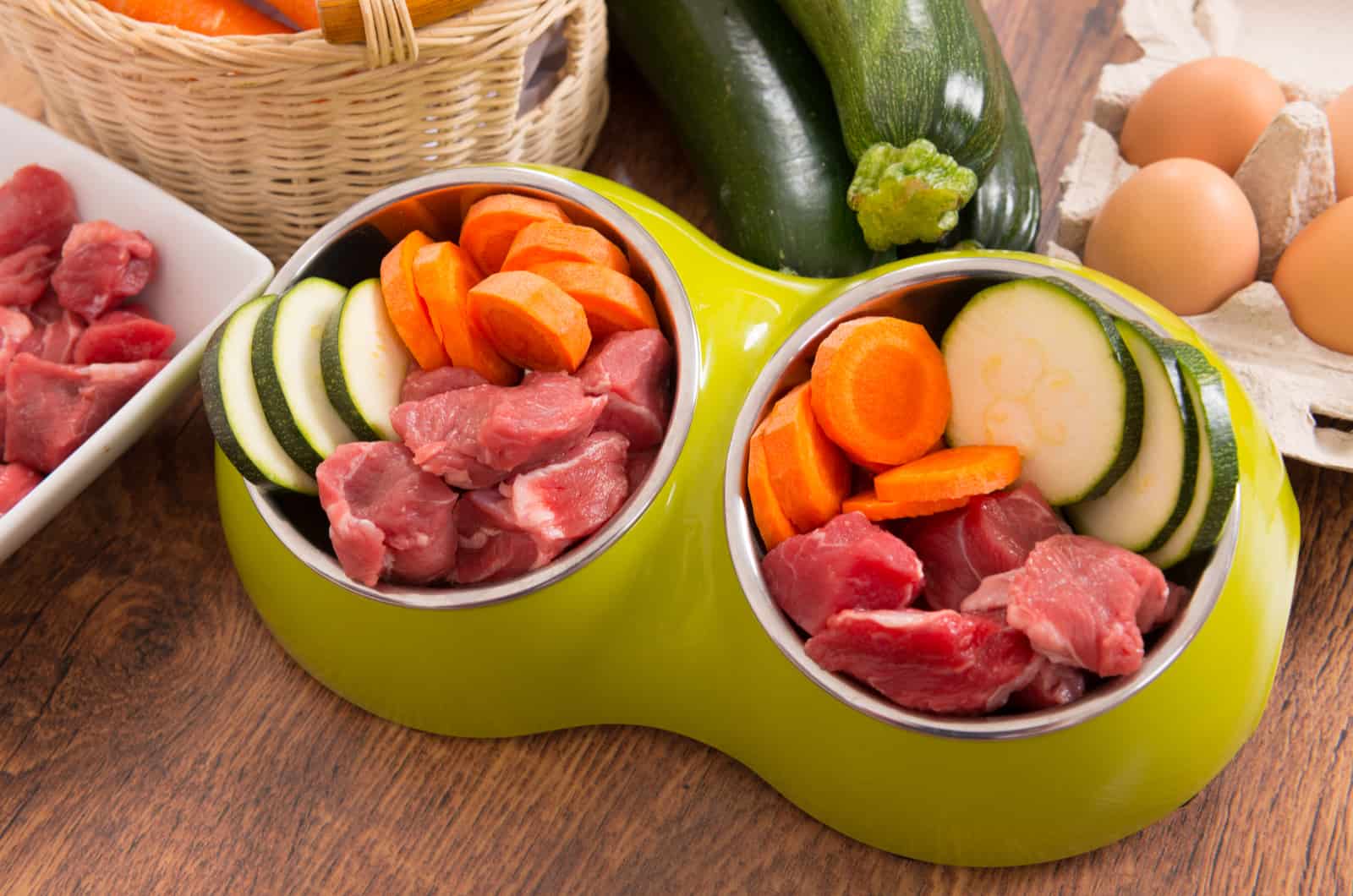 tazón de perro lleno de comida