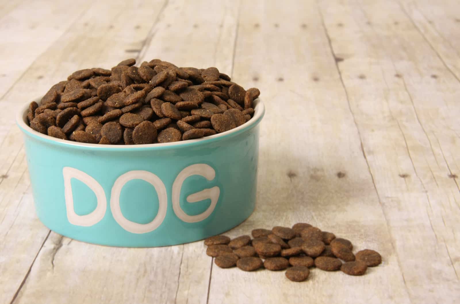comida para perros en un tazón