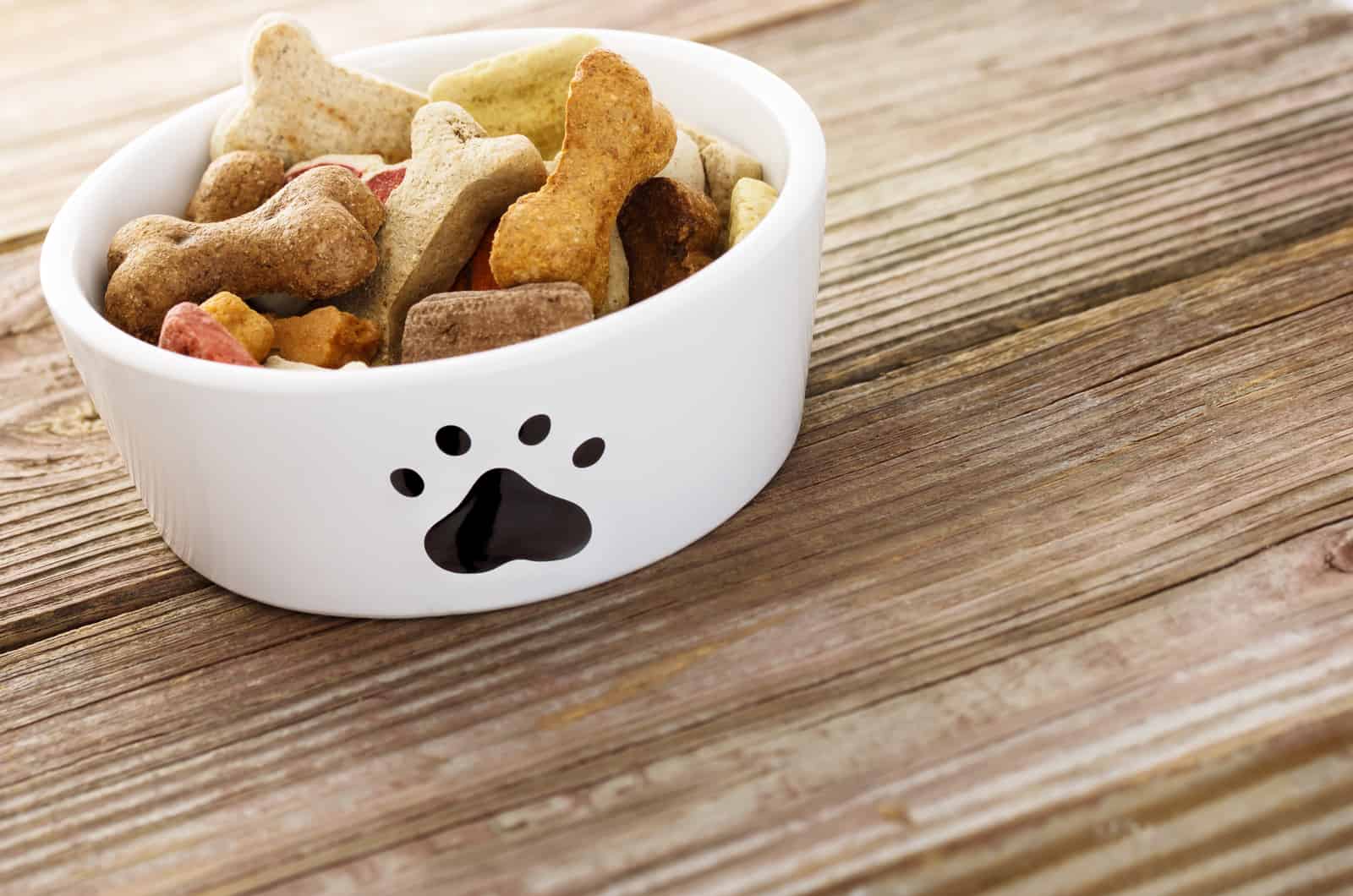 Comida para perros en un cuenco