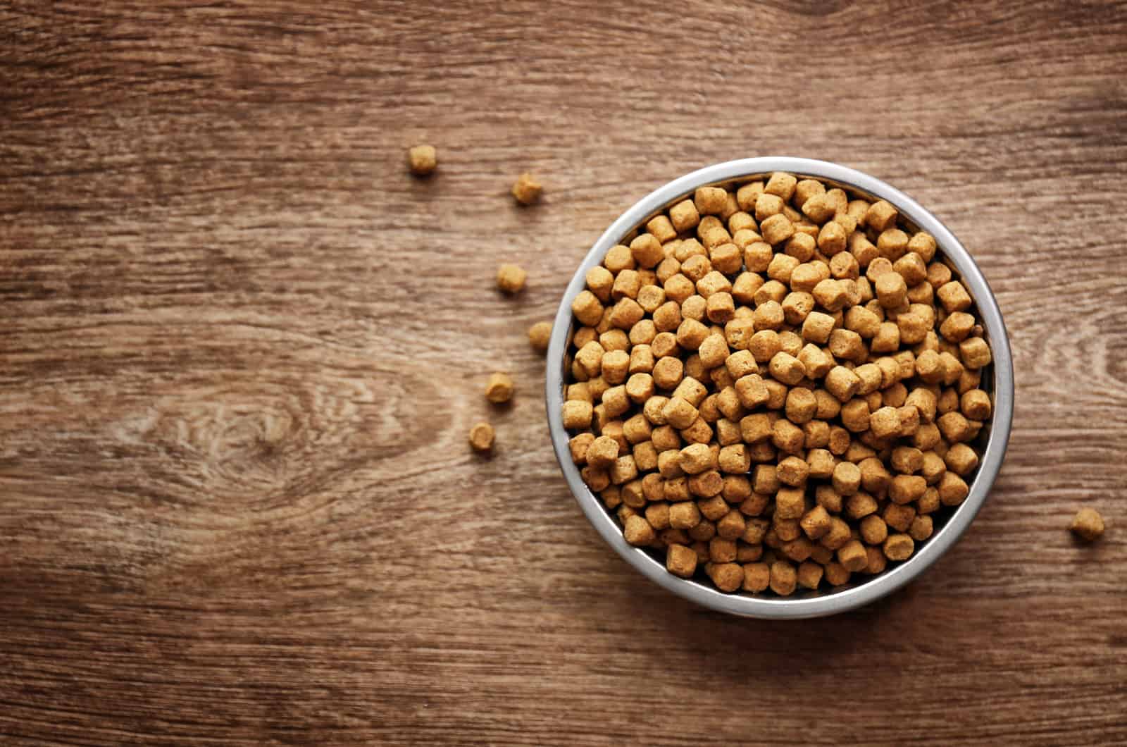 Comida para perros en un cuenco sobre mesa de madera