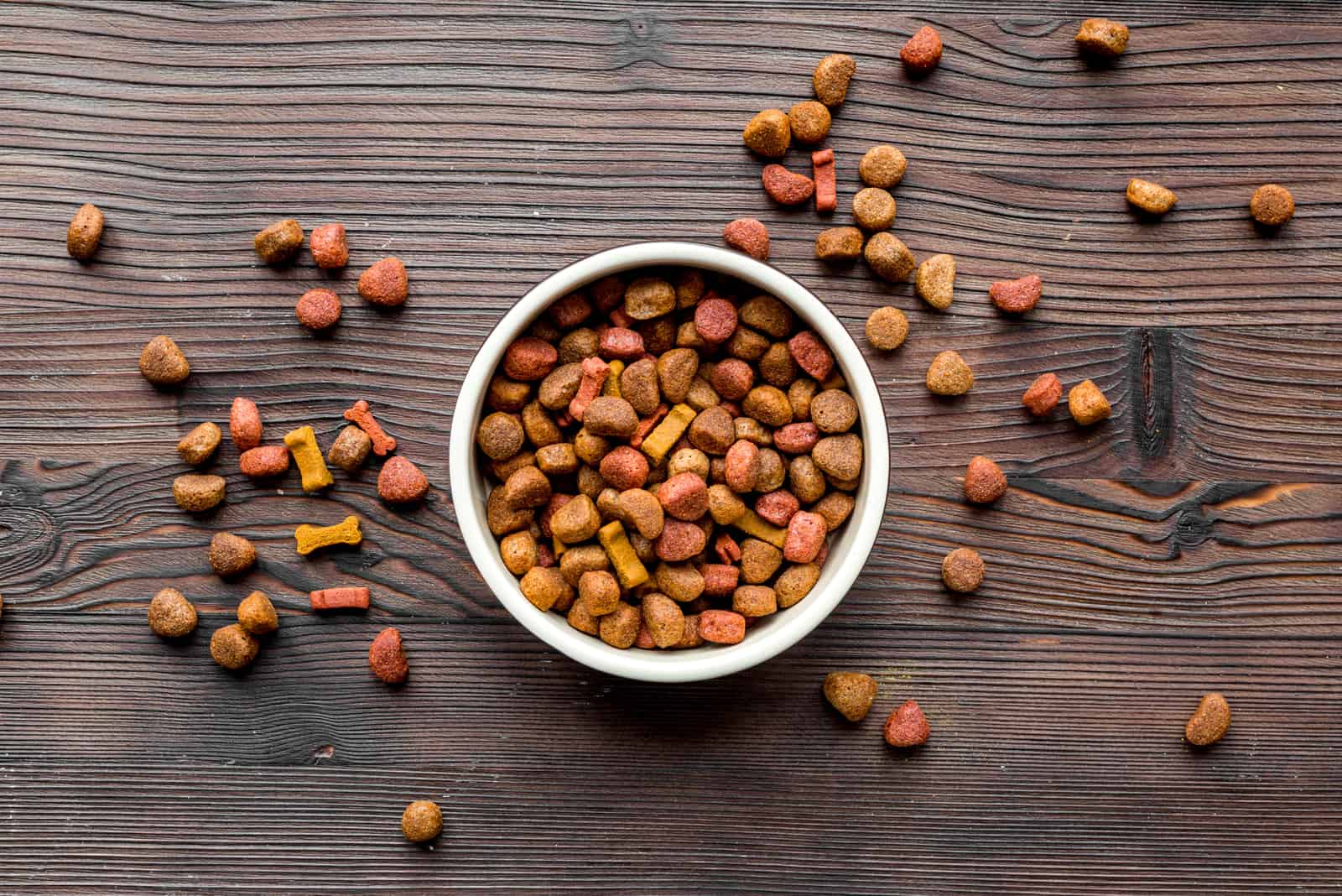 alimento para perros en tazón sobre mesa