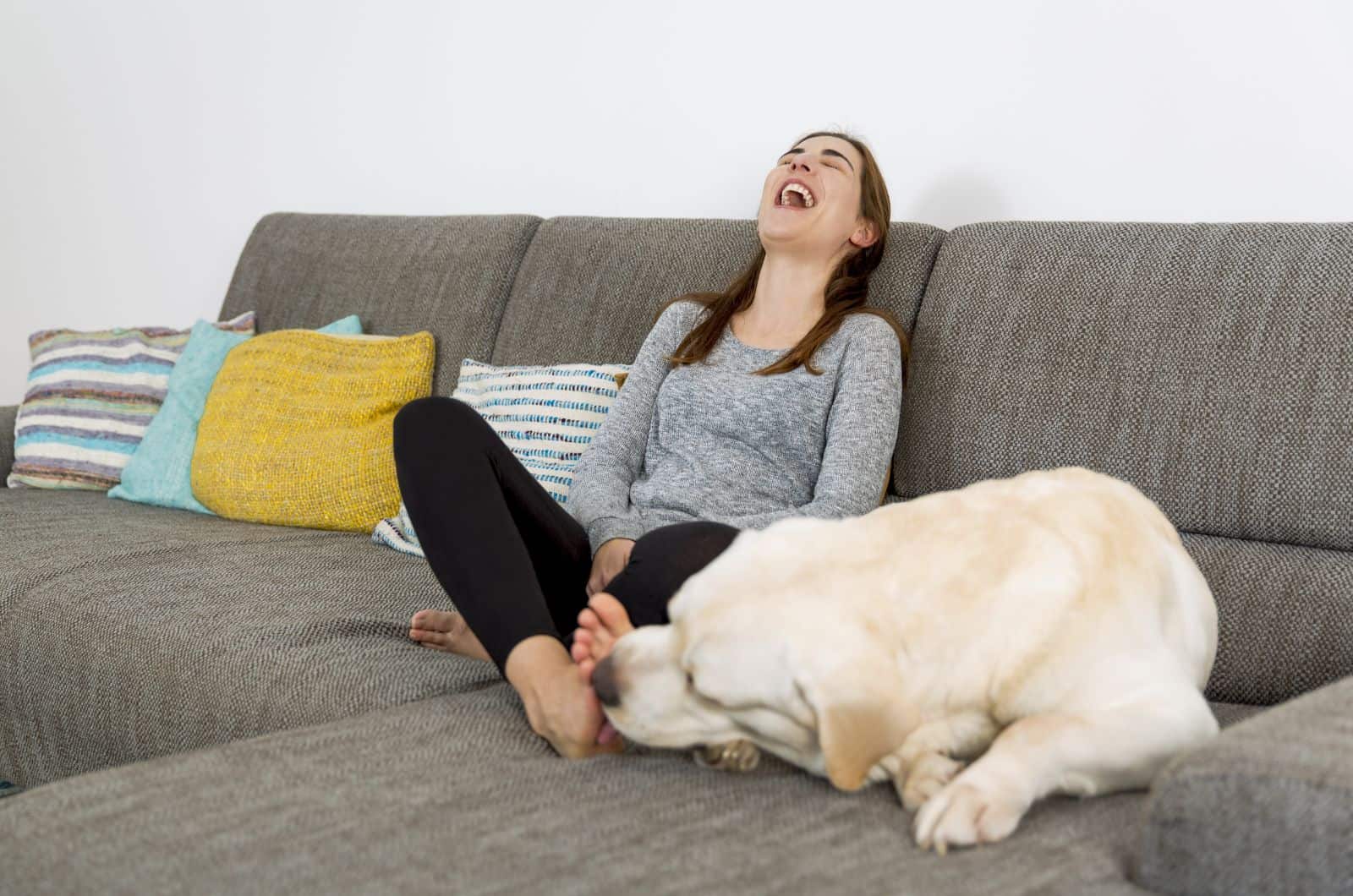 perro lamiendo los pies de una mujer