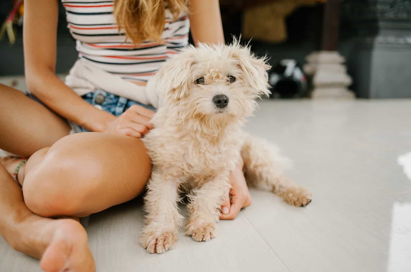 perro sentado junto a una niña