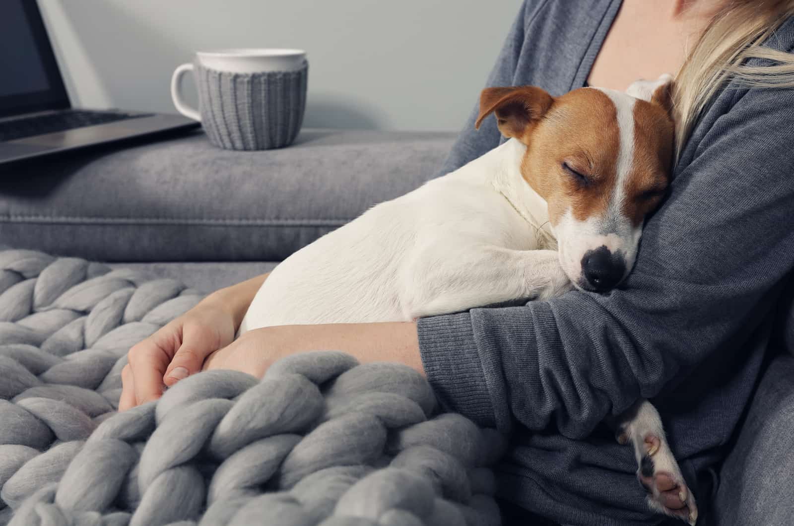 perro durmiendo en el regazo del dueño