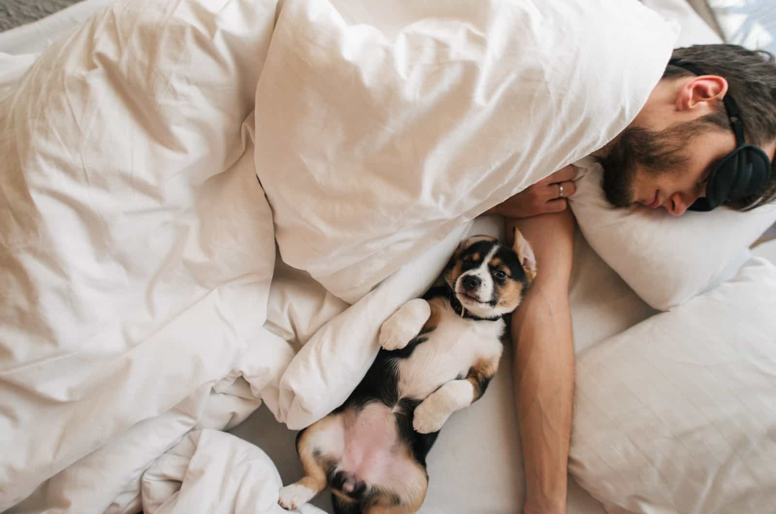 perro durmiendo al lado de su dueño
