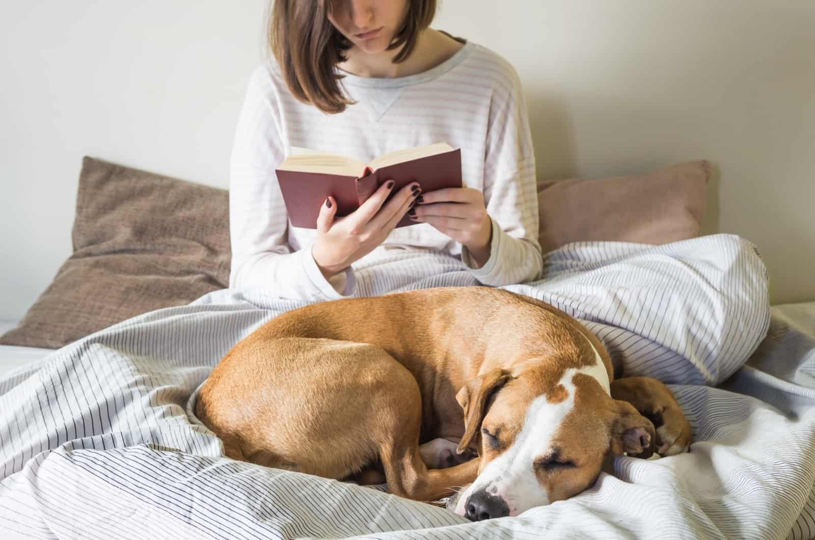 perro durmiendo en la cama