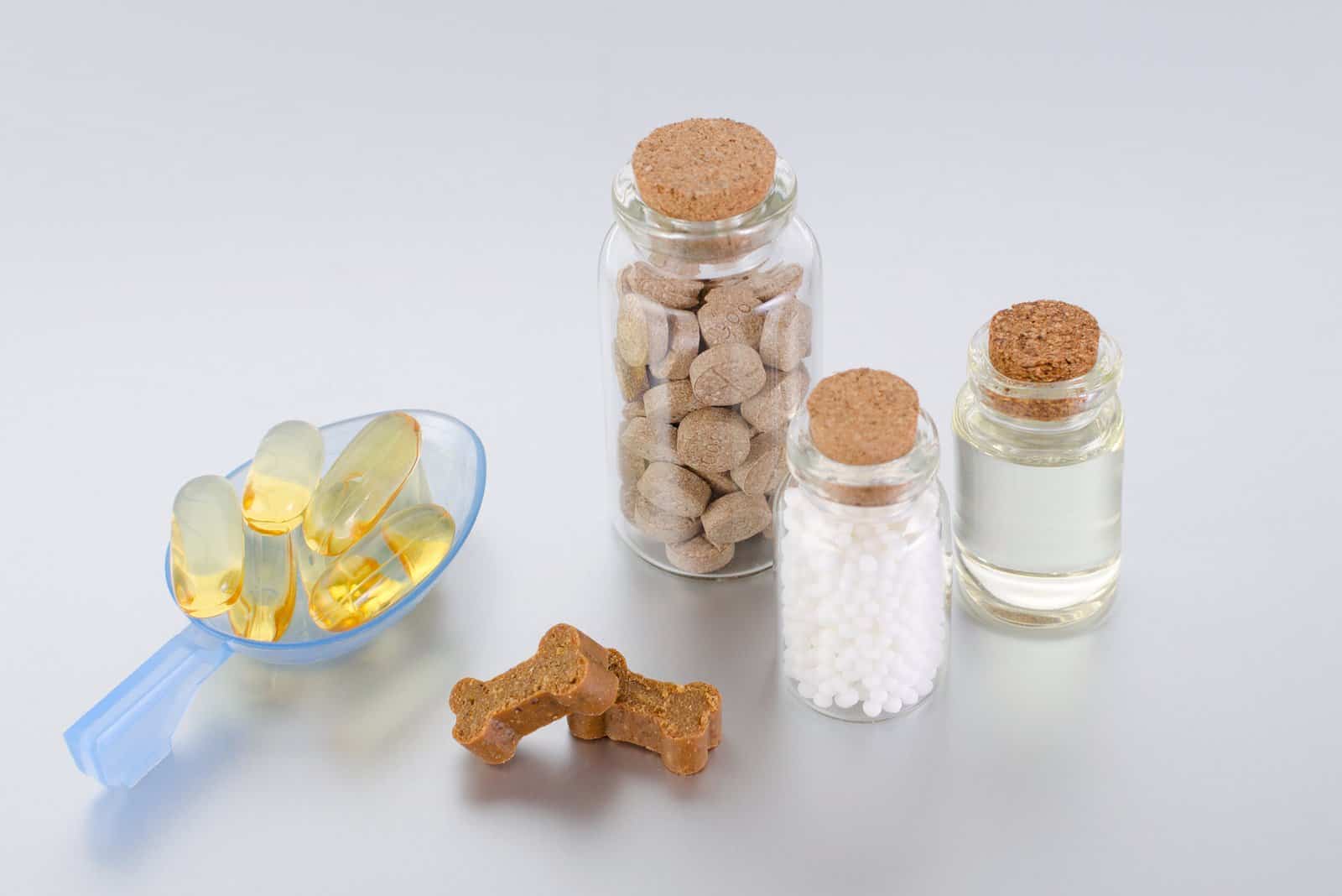 suplementos para perros