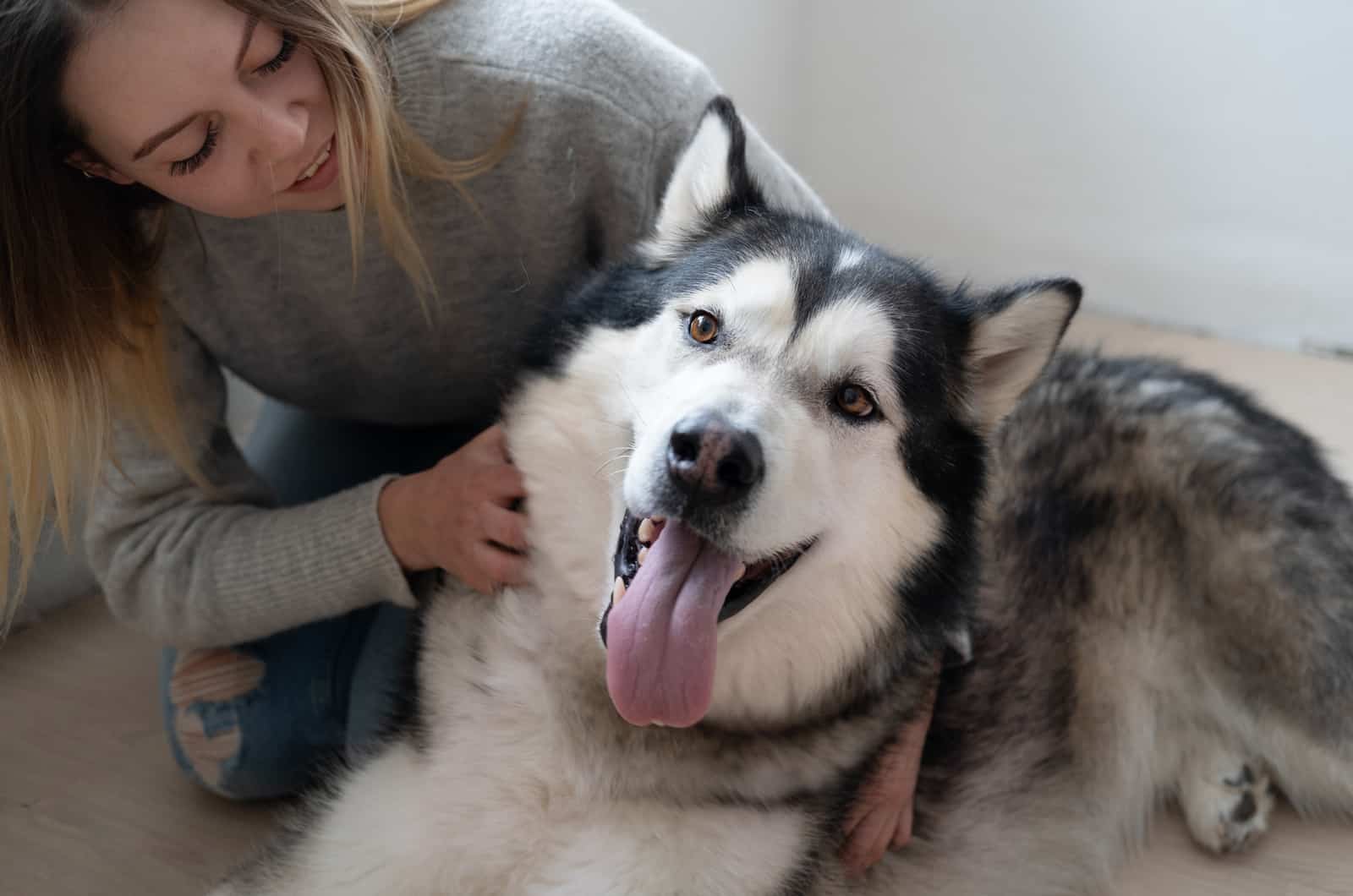 Chica abrazando a su Husky Siberiano