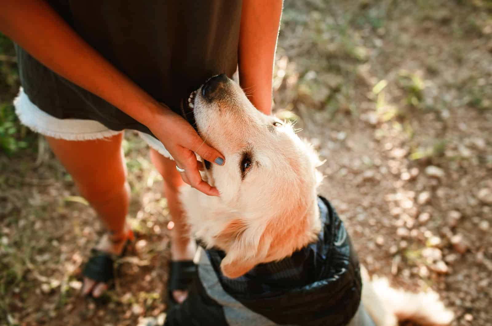 chica acariciando a su perro